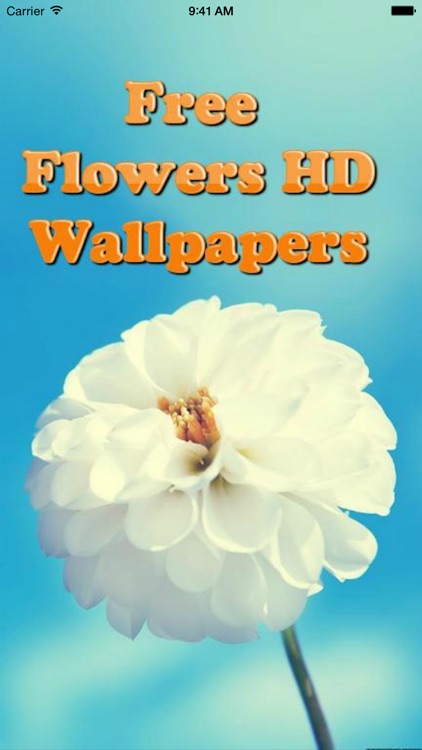 Flower Wallpapers HD – Floral & Flower Backgrounds