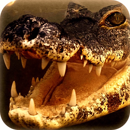 Dangerous American Alligator Hunting Icon