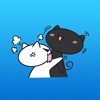 Black and White Couple Cat 2