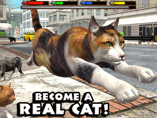 Ultimate Cat Simulator на iPad
