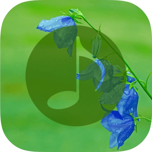 Nature Sounds - Nature Music, Relaxing Sounds iOS App