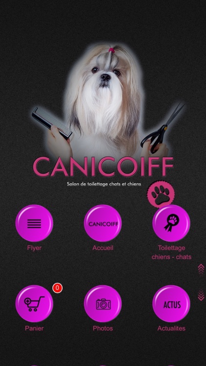 Canicoiff