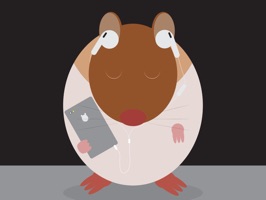 Introducing, Haster the Hamster