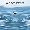 Quick Wisdom from We Are Water-A Novel