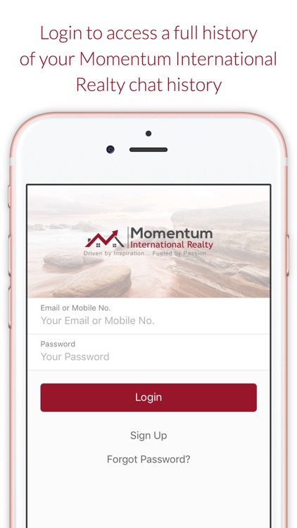 Momentum International Realty