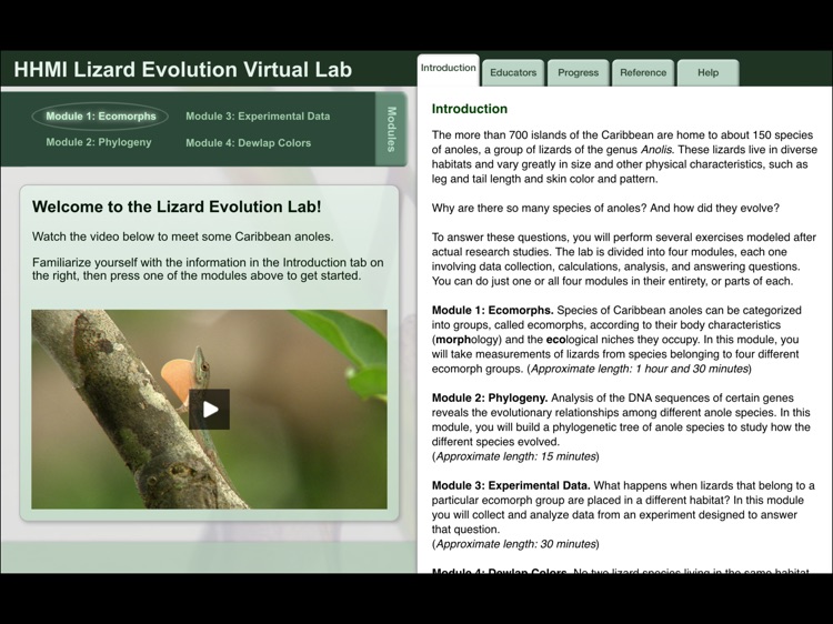 Lizard Evolution Virtual Lab screenshot-0