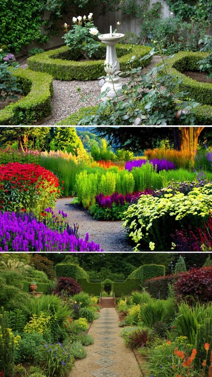 Colorful Secret Garden Wallpapers