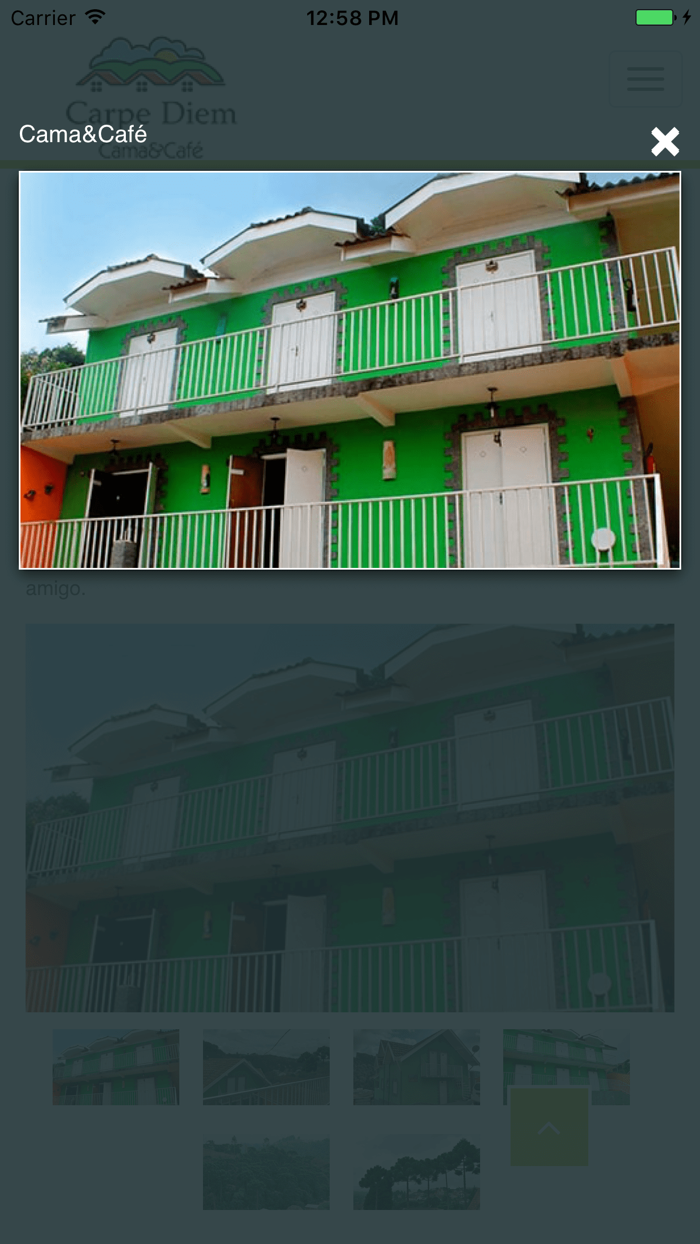 Carpe Diem Cama  Café