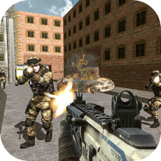 Activities of Command Assault Shooting