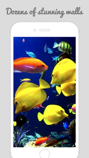 Underwater World Wallpapers(圖2)-速報App