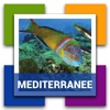 Découvrir Autrement - Méditerranée