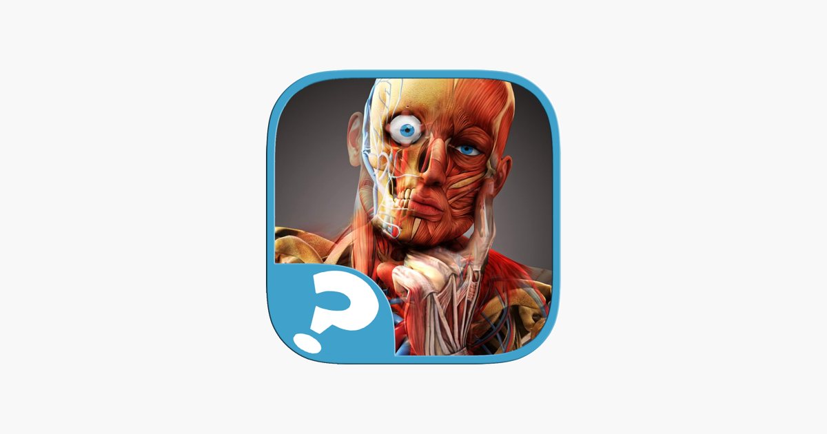На игру Тело человека ОТВЕТЫ для iOS На игру Тело человека ОТВЕТЫ для iOS