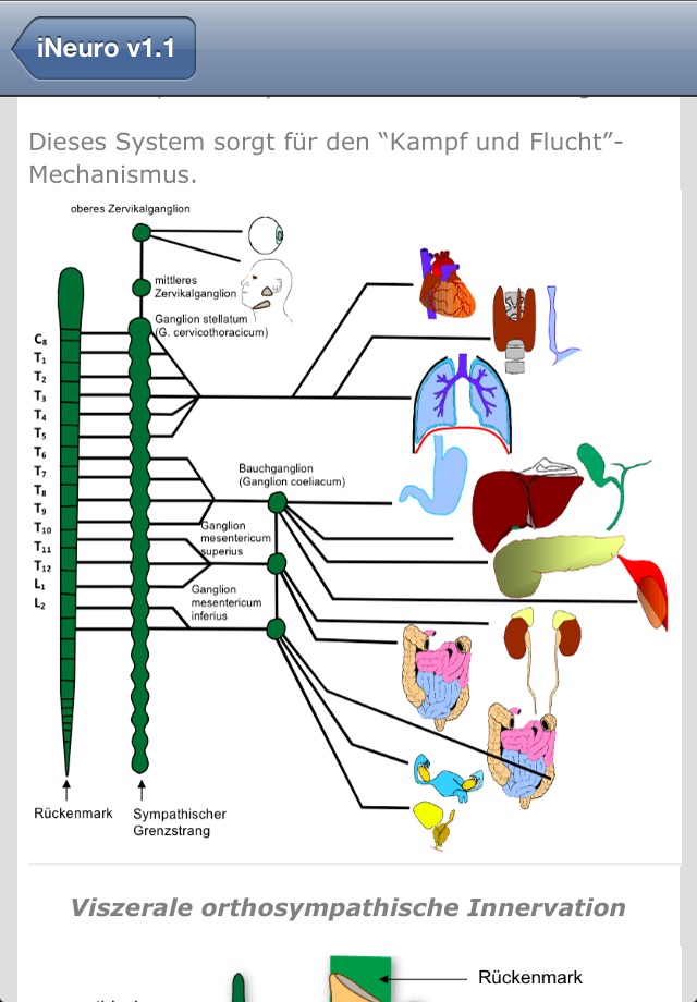 iNeuro screenshot 2