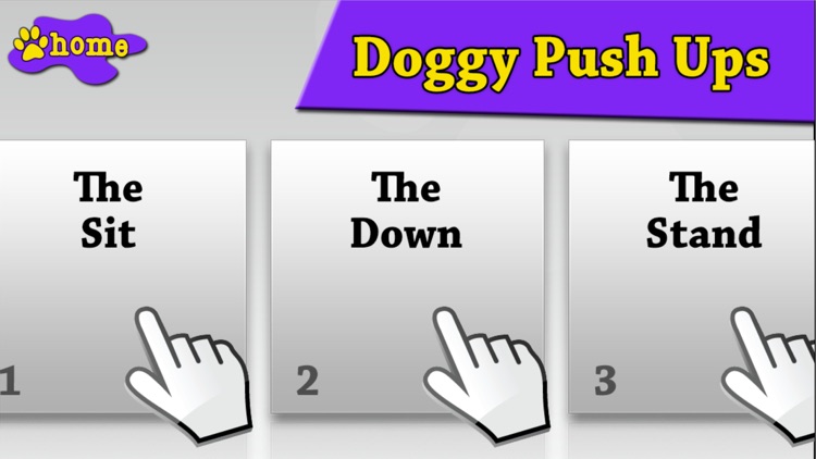 The Friendly Dog Club: Basic Training