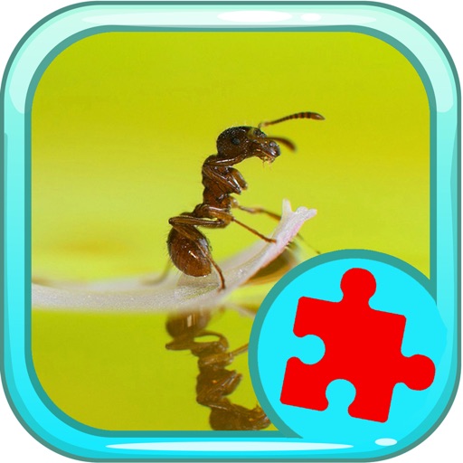 Animal Jigsaw Puzzle Games Ants For Kids Icon