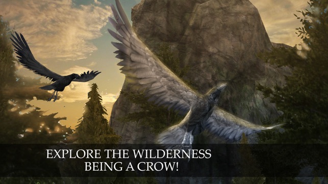 Wild Life: Flying Crow Bird Simulator(圖1)-速報App