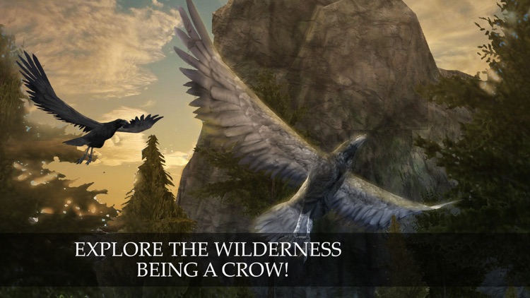 Wild Life: Flying Crow Bird Simulator