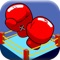 Real Punch Boxing Training