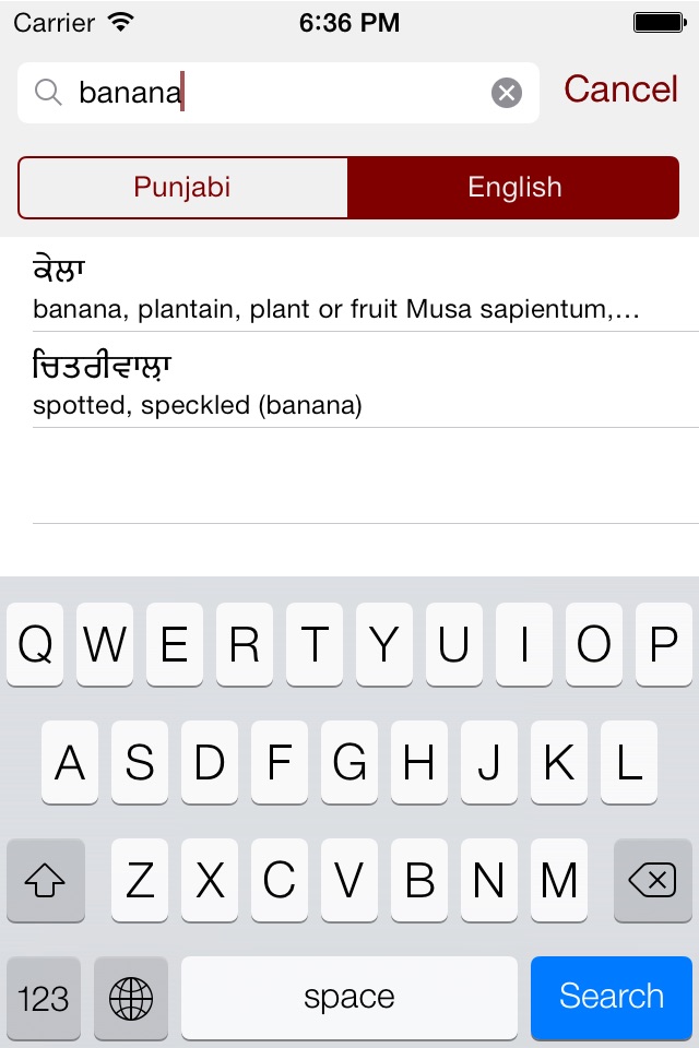 Punjabi Dictionary screenshot 3