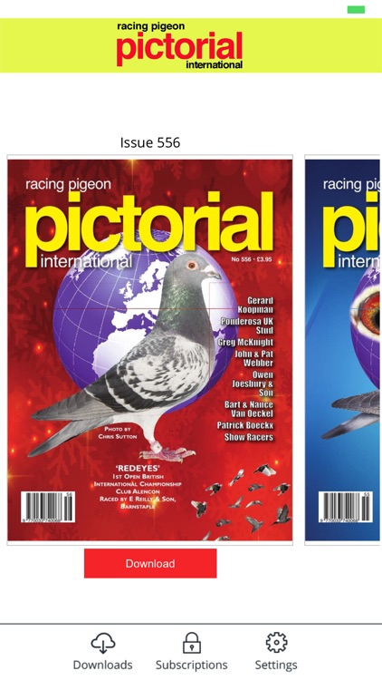 Racing Pigeon Pictorial International