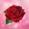 Red Rose Love PhotoFrames