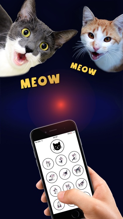 Cat Translator - Human to Cat communicator