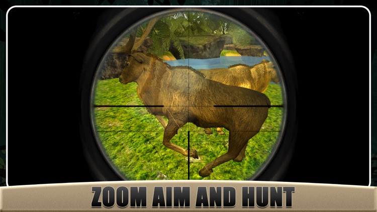 Real Deer Hunting : Hunt In Deep Jungle Pro