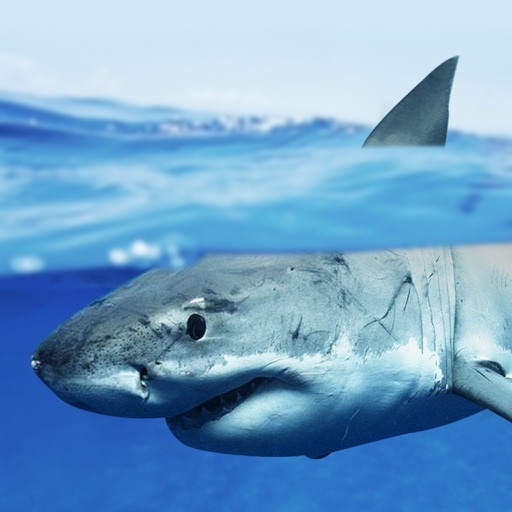 Expedition White Shark for iPad iOS App