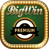 Slots Fury Vegas Casino - Free Slots Casino Game