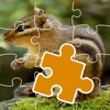 Puzzle Squirrel Games And For Kids Education
