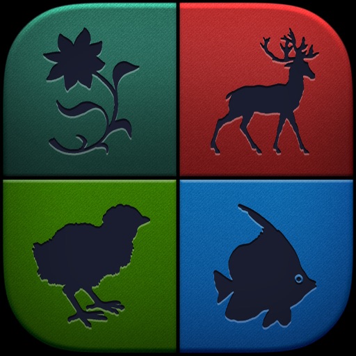 Themed Puzzle HD iOS App