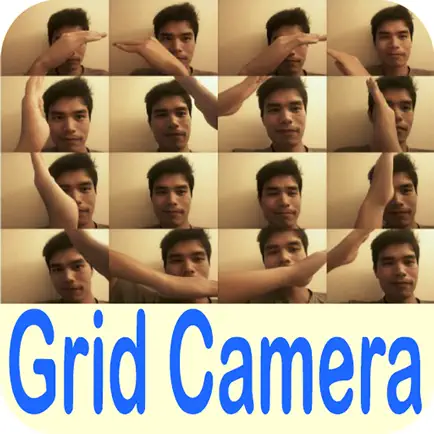 Grid Camera (Here You Are) Cheats
