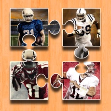 Activities of American Football Jigsaw Puzzle For NFL Champions