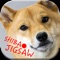 Shiba Inu Japan Dog Jigsaw Sliding Games for Kids