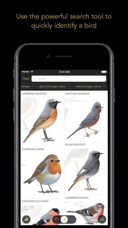 Collins British Bird Guide