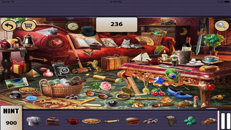 Hidden Objects : Grandma Coins screenshot-4