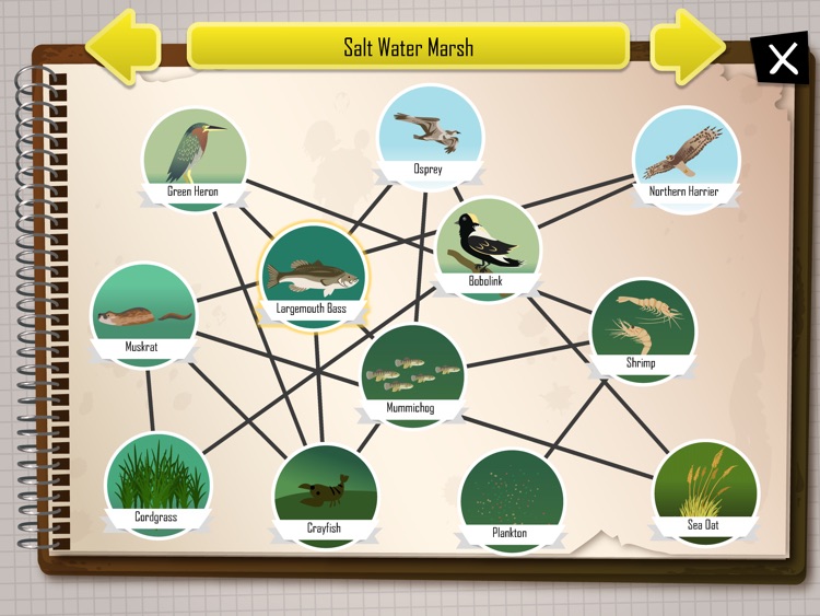 iBiome-Wetland screenshot-4