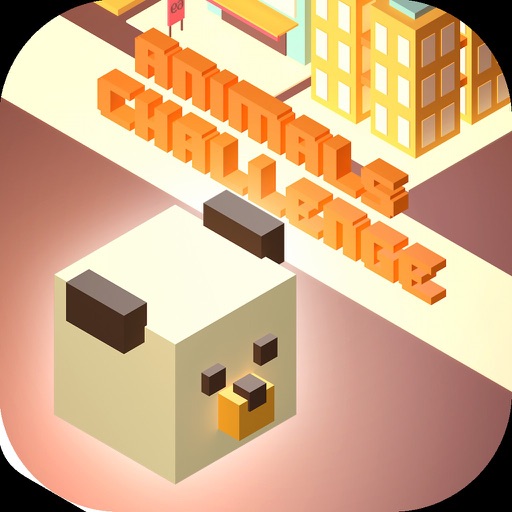 Amazing Bear - Tiny Animal Run iOS App