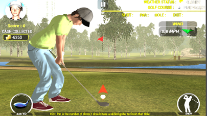 Golf Simulator 3d Screenshot 2