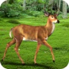 Deer Wild Hunting Shooter Pro