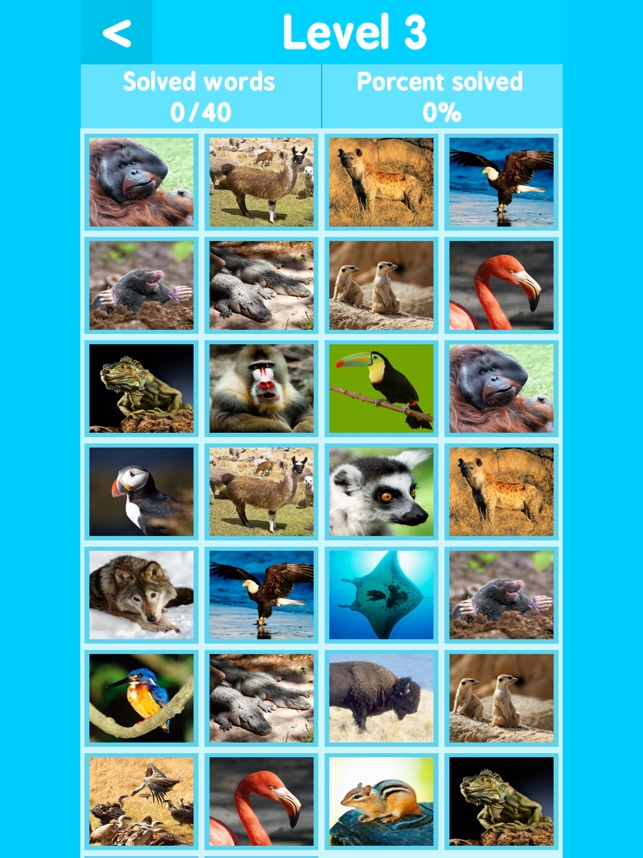 kids pics quiz : animal alphabet learning on the App Store