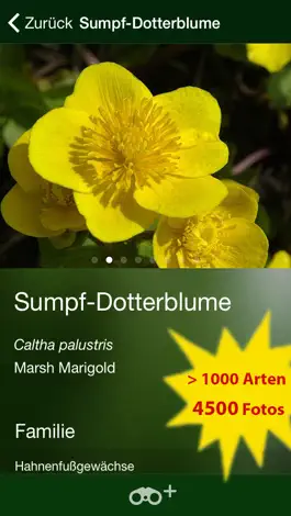 Game screenshot Blütenpflanzen Deutschland Blumen, Sträucher Bäume apk