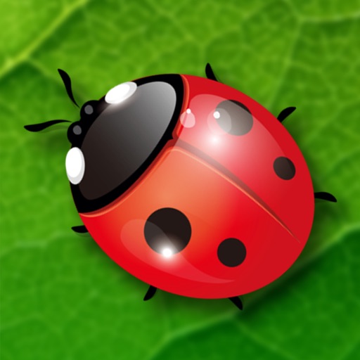 Beetle iOS App
