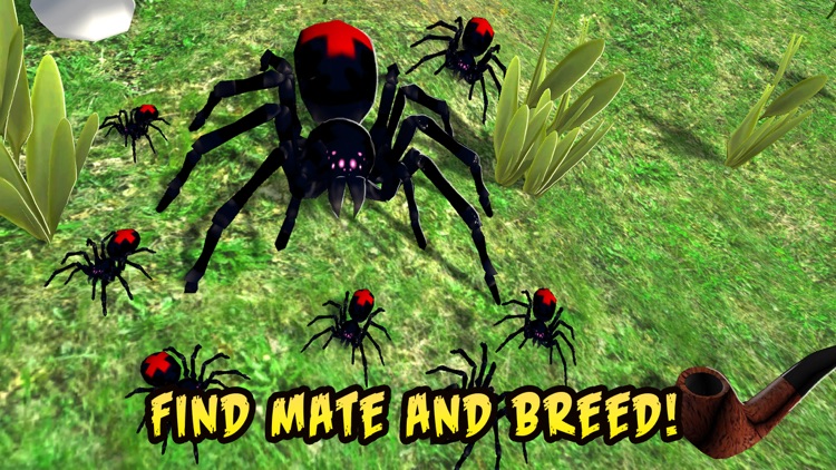 Black Widow Insect Spider Life Simulator screenshot-2