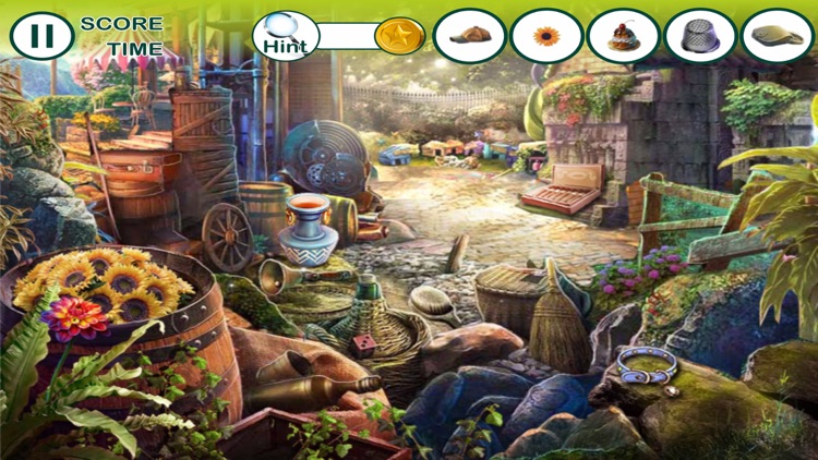 hidden object: The enchanted city Pro