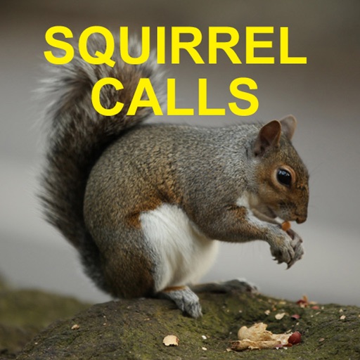 Squirrel Hunting Calls