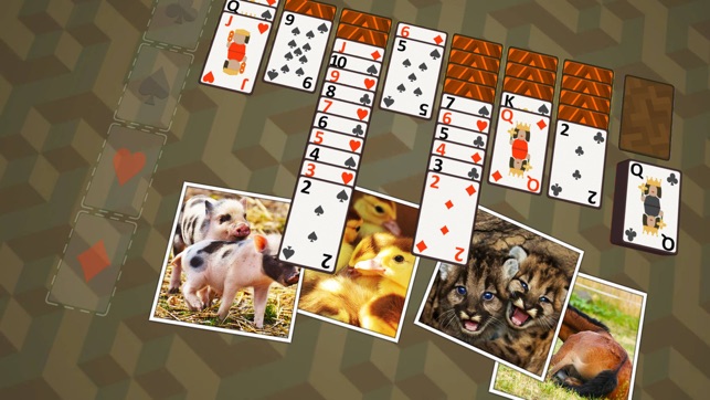 Solitaire Baby Animals(圖2)-速報App