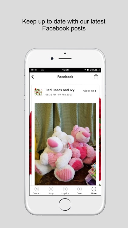 Red Roses and Ivy screenshot-4