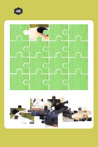 Animals Read Panda jigsaw puzzle games screenshot 2