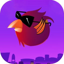 ChallengeBird